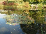 Etang Giverny