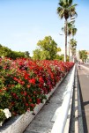 Route fleurie à València